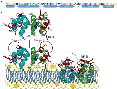 Advances in the preclinical characterization of the antimicrobial peptide AS-48